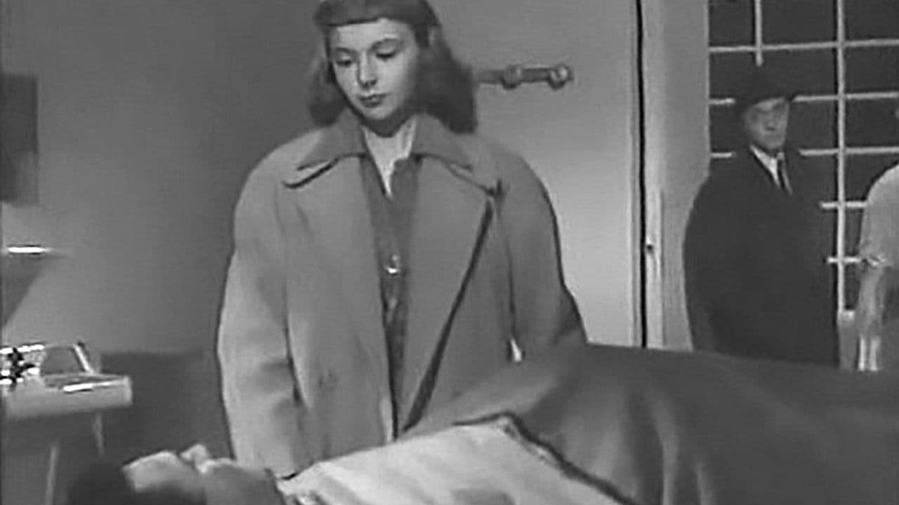 Companions of the Night