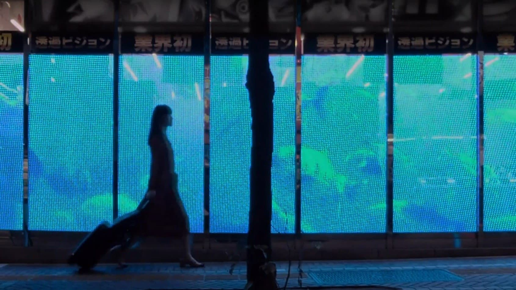 The Fish with One Sleeve