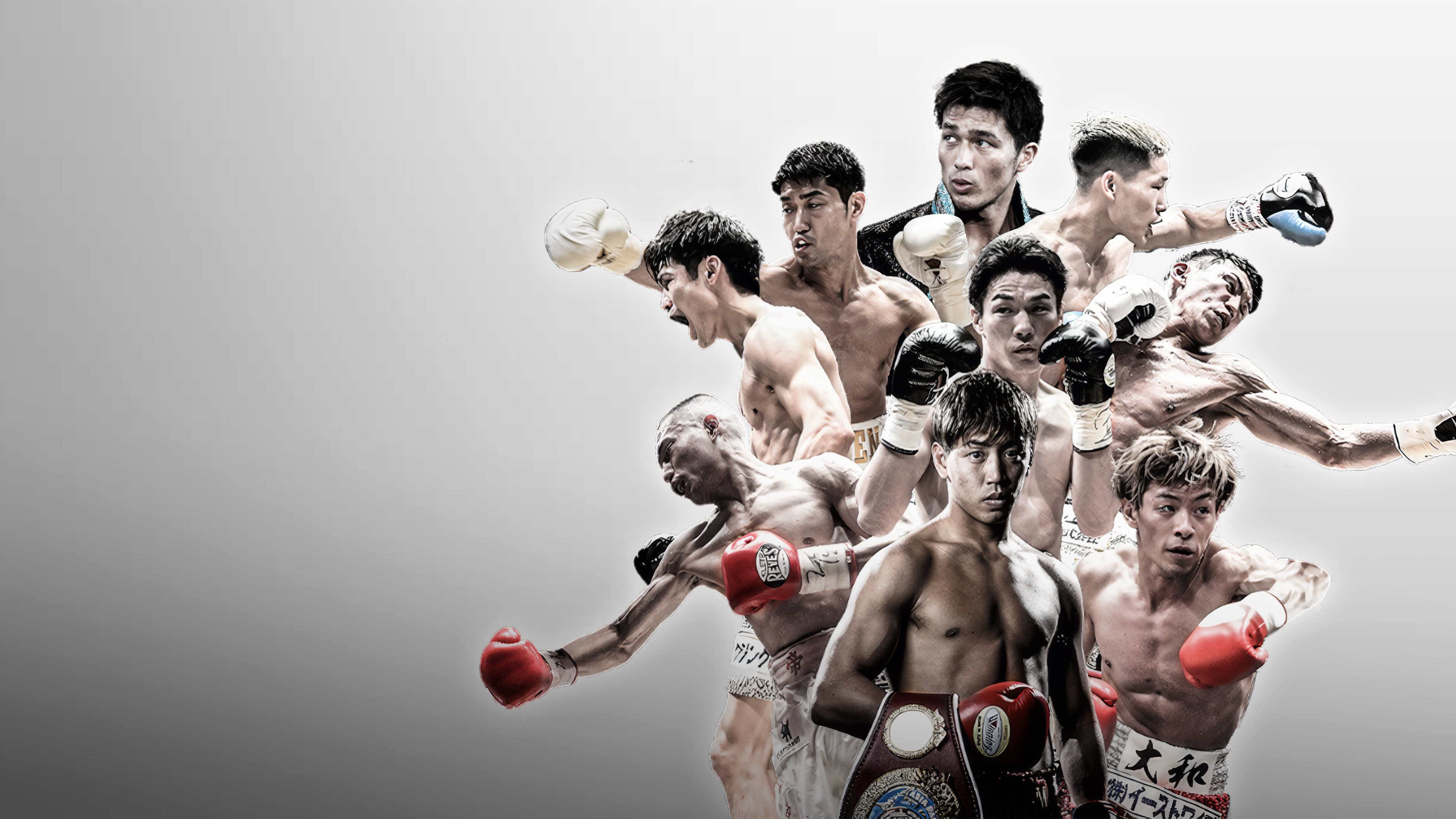 WHO'S NEXT DYNAMIC GLOVE BOXING vol.30