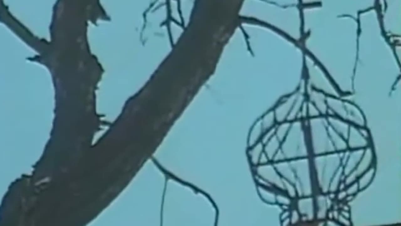 The Cimmerian Hermit