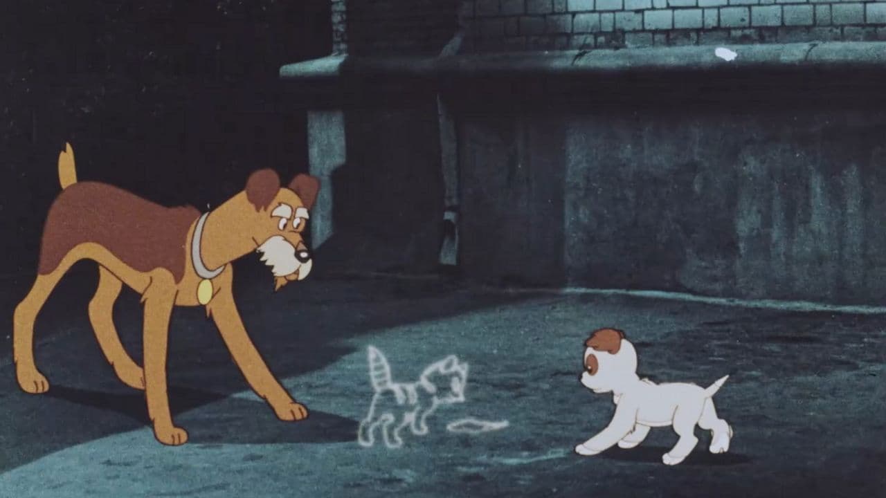 Tracks on the Asphalt