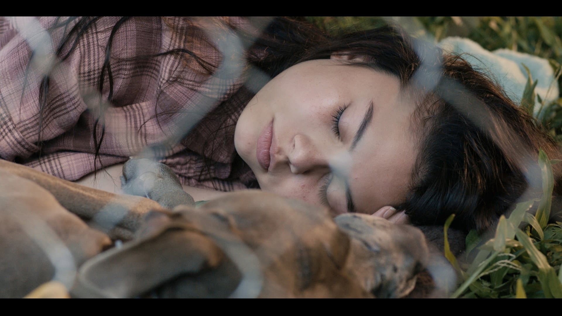 The Moon and The Night