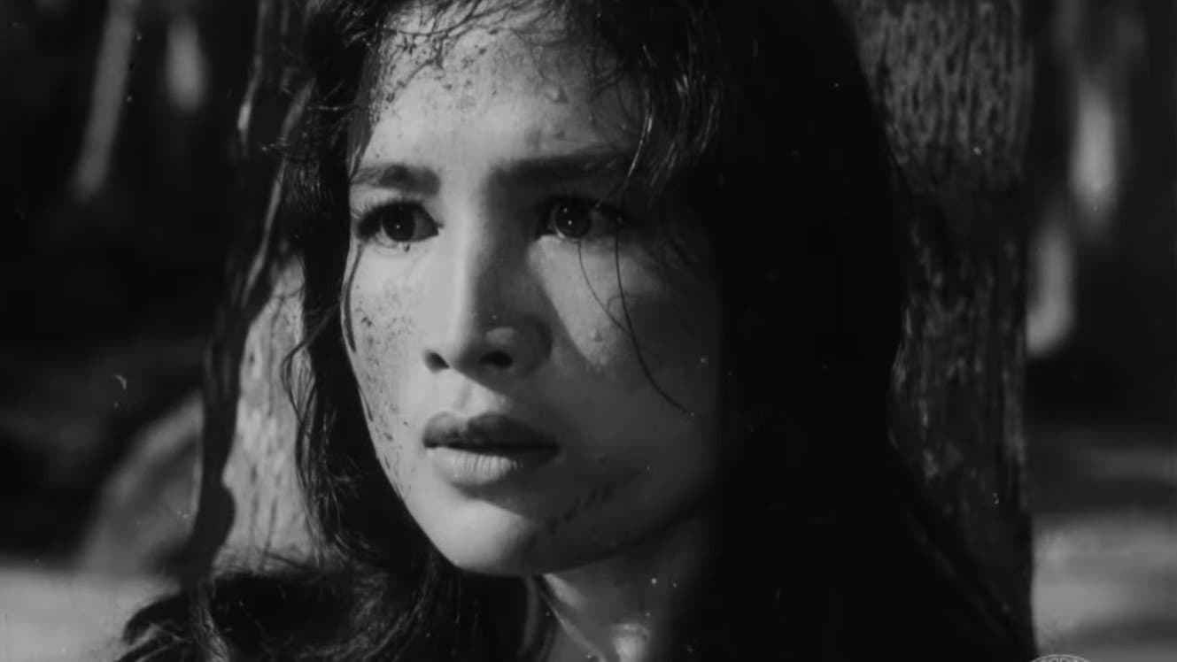 17th Parallel, Nights and Days