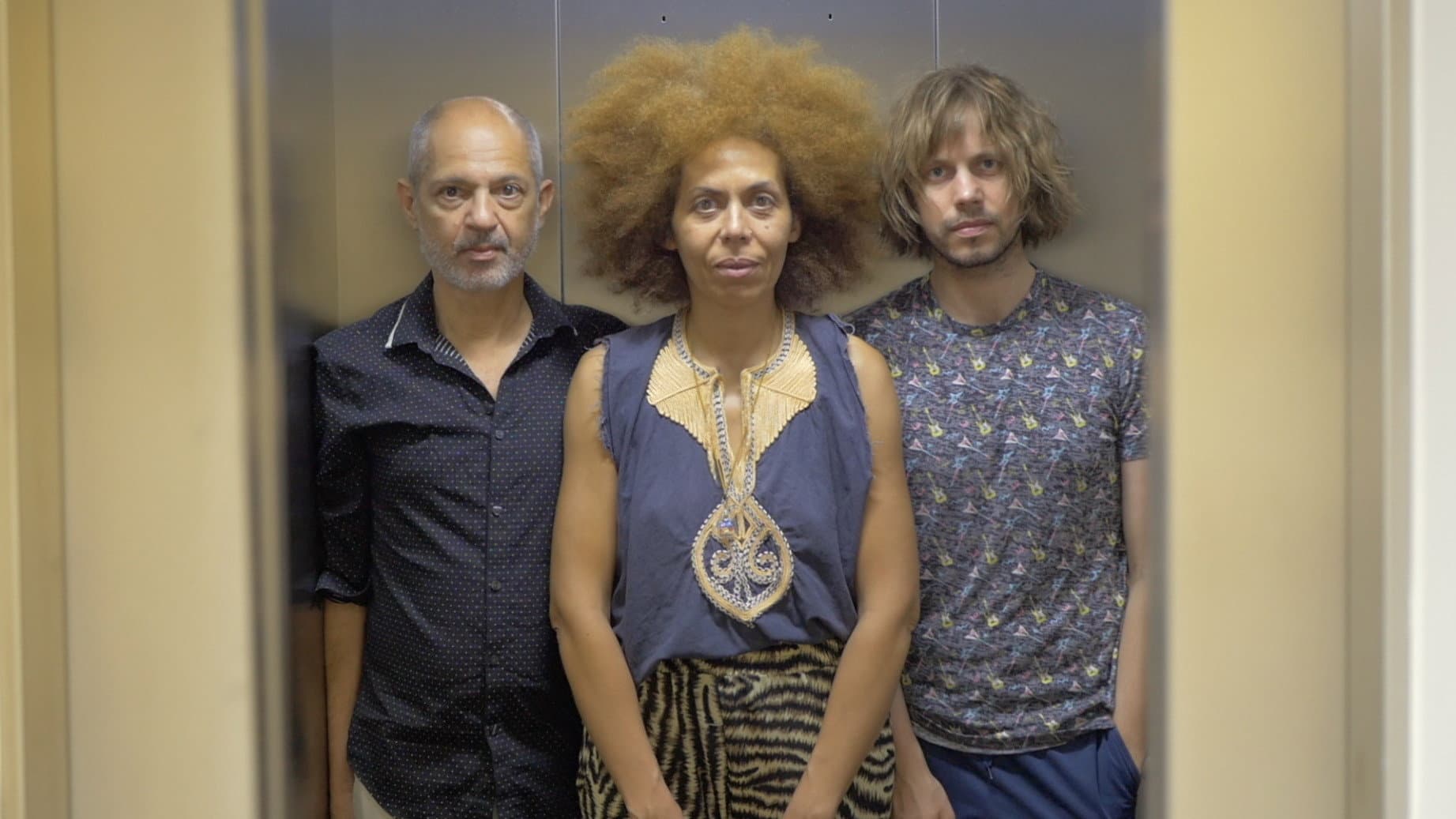 The Trees Were Spelling Love Backwards