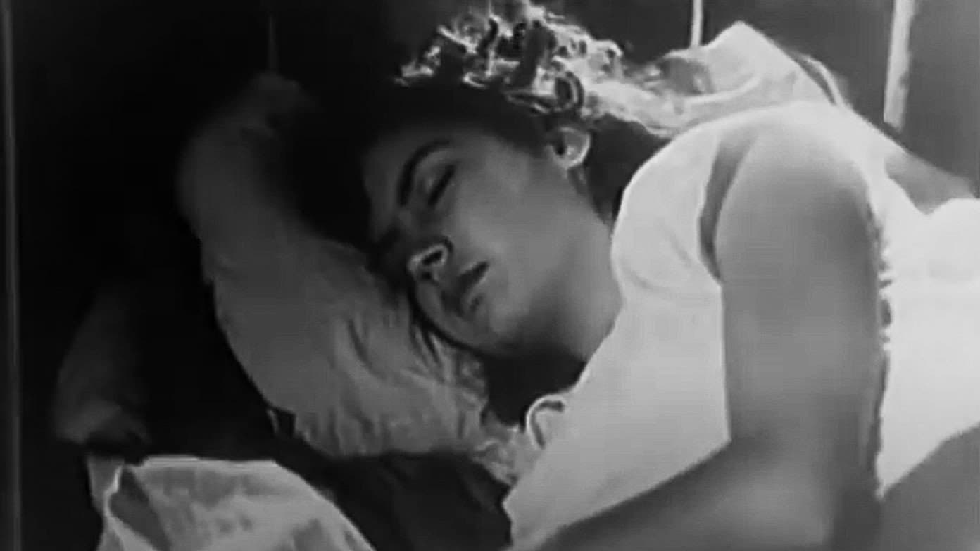 Birds Without a Nest