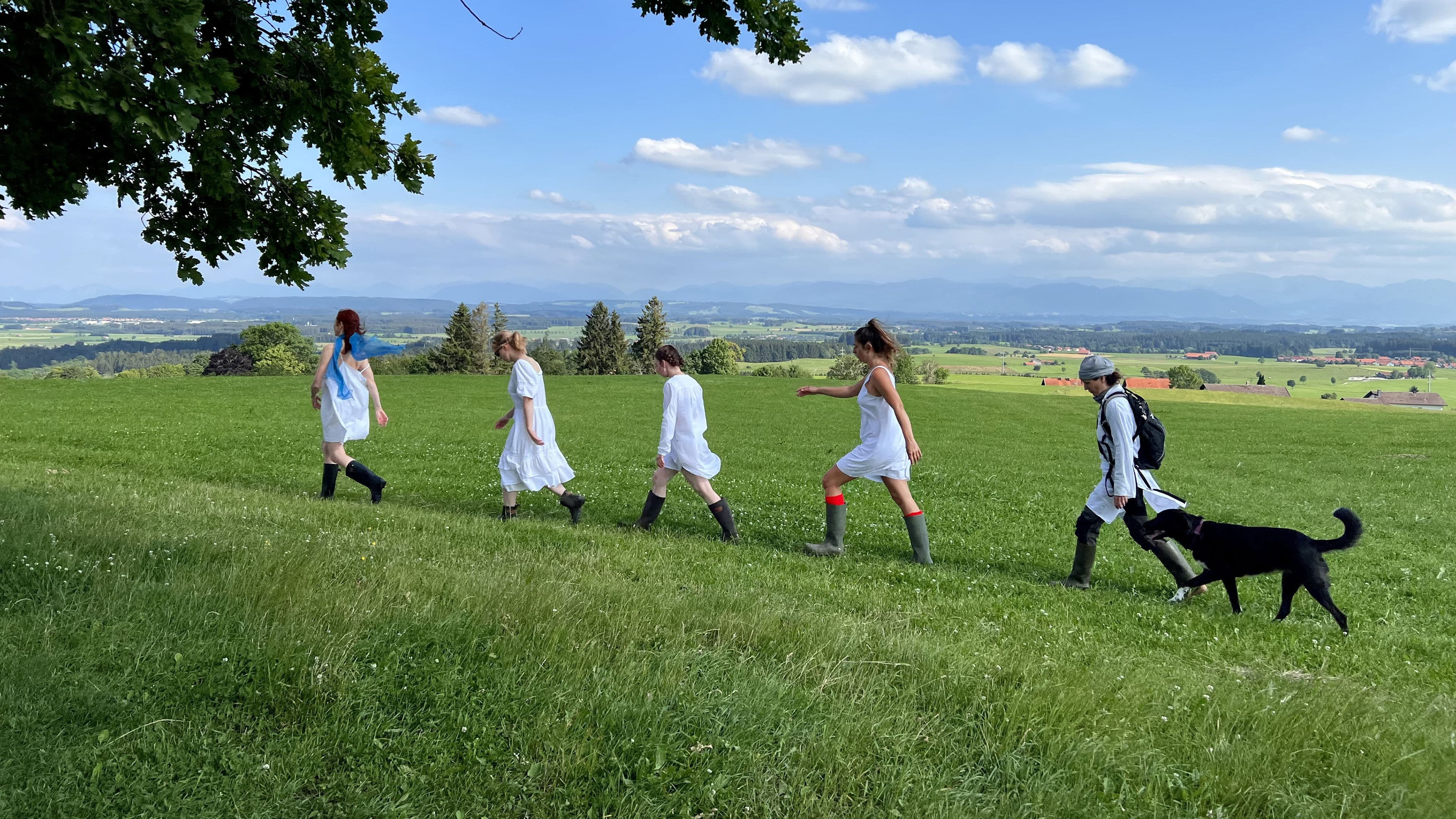 There Is a Hausen Everywhere