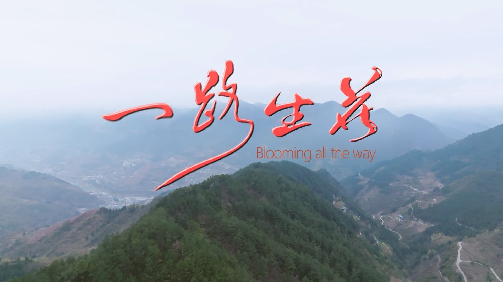 Blooming All the Way