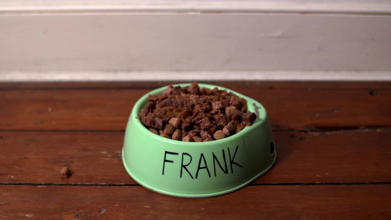 L.T.'s Theory of Pets