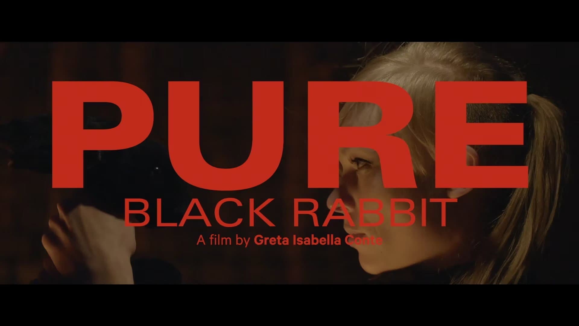 Pure - Black Rabbit