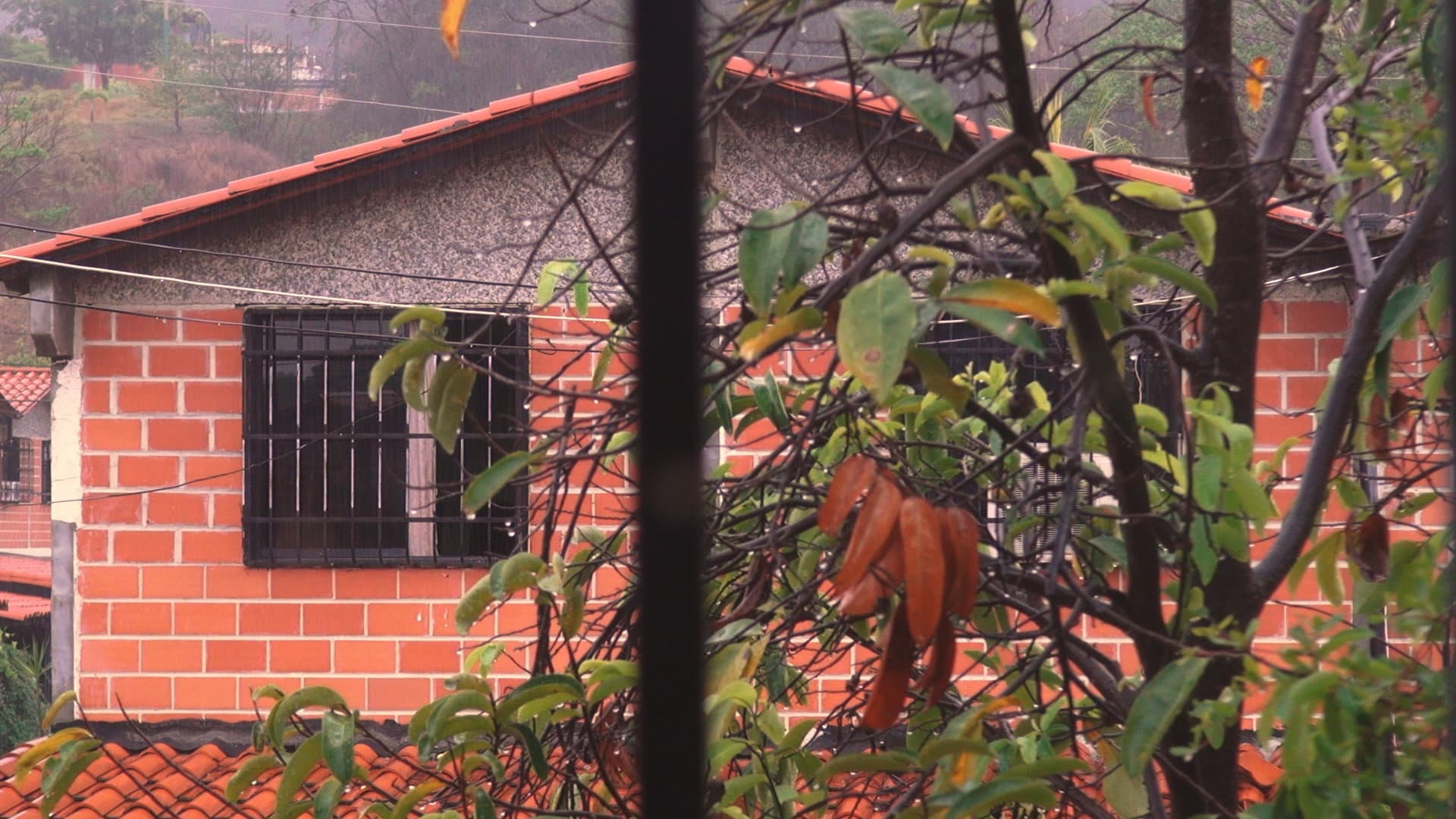 Esta casa ya no nos alberga