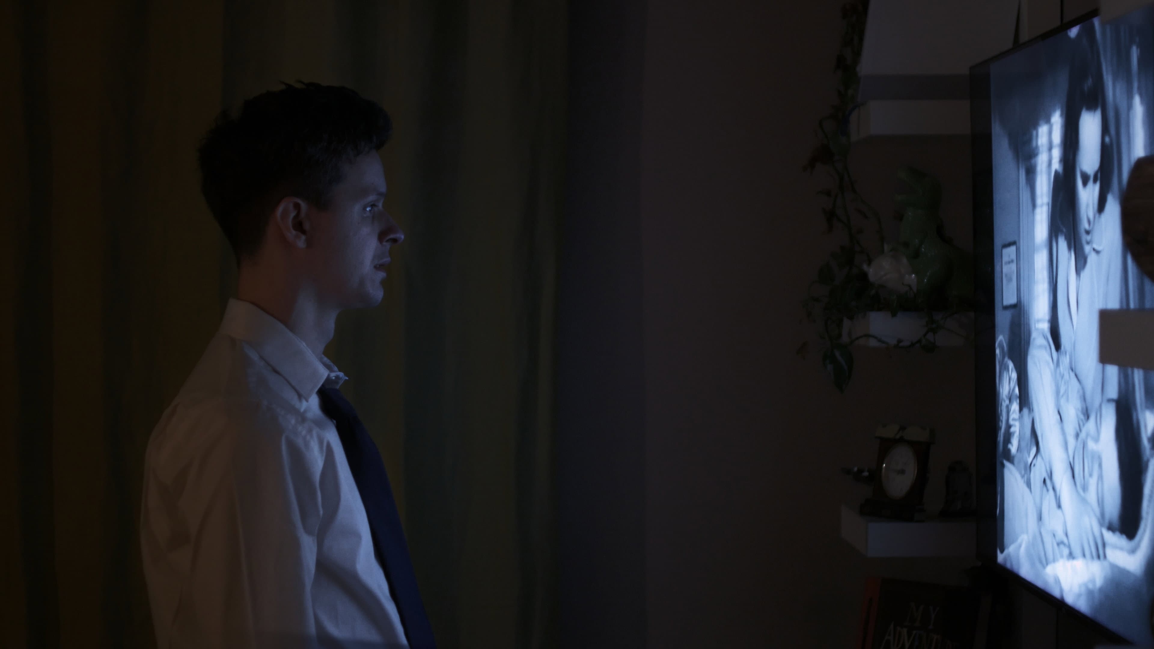 Shadows on the Glass