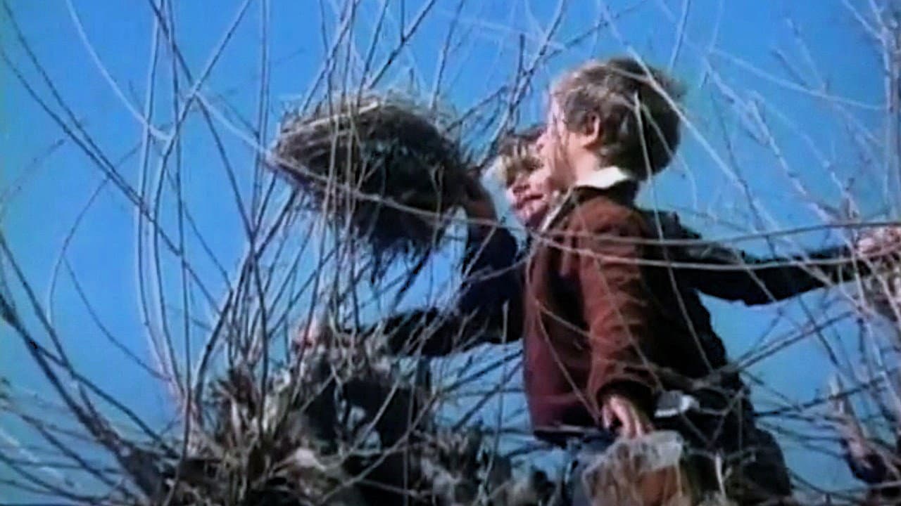 Little Angel, Make Me Happy