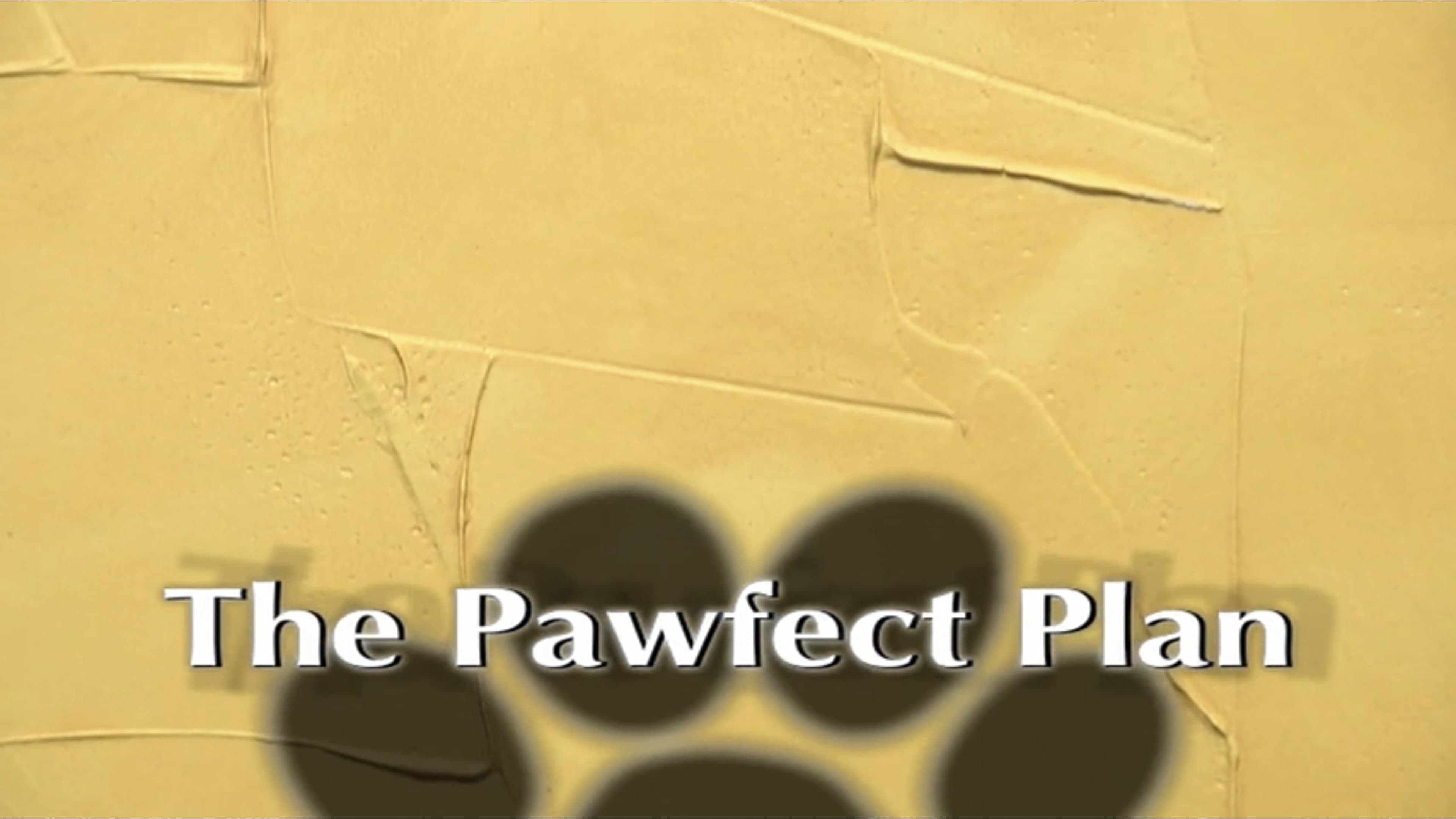 The Pawfect Plan