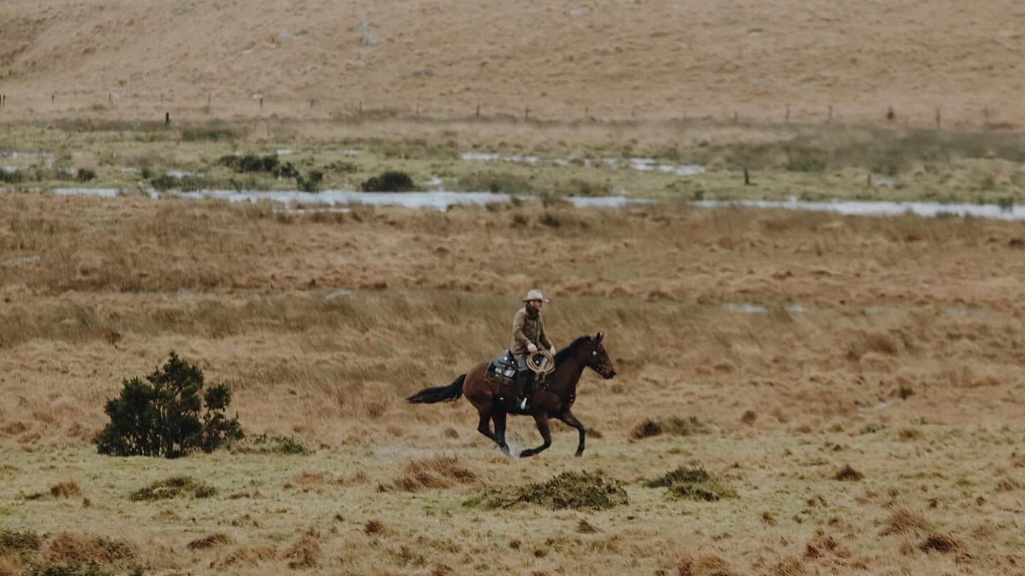The Dartmoor Cowboy