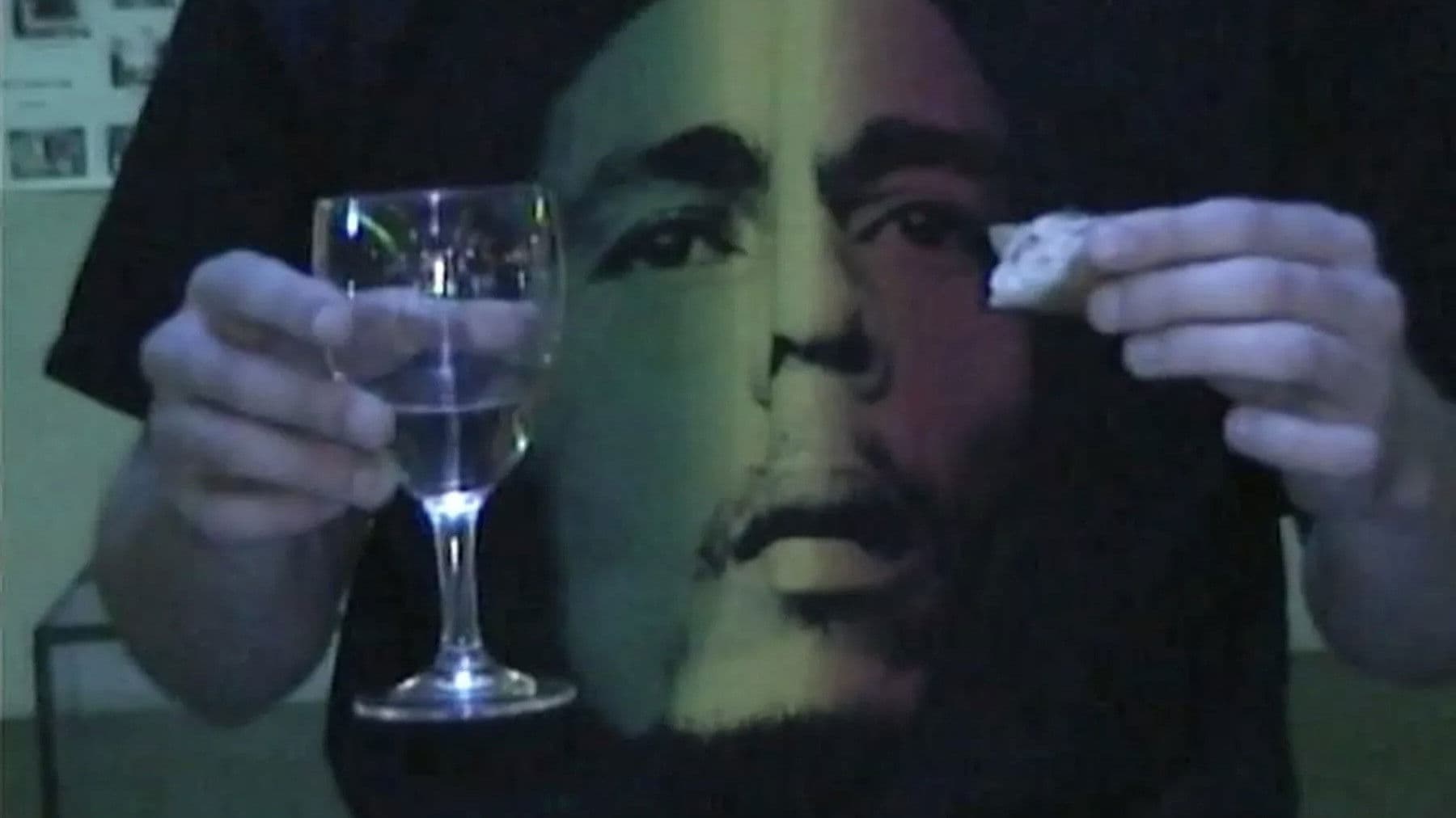 camcorder sony dcr-trv265e digital8