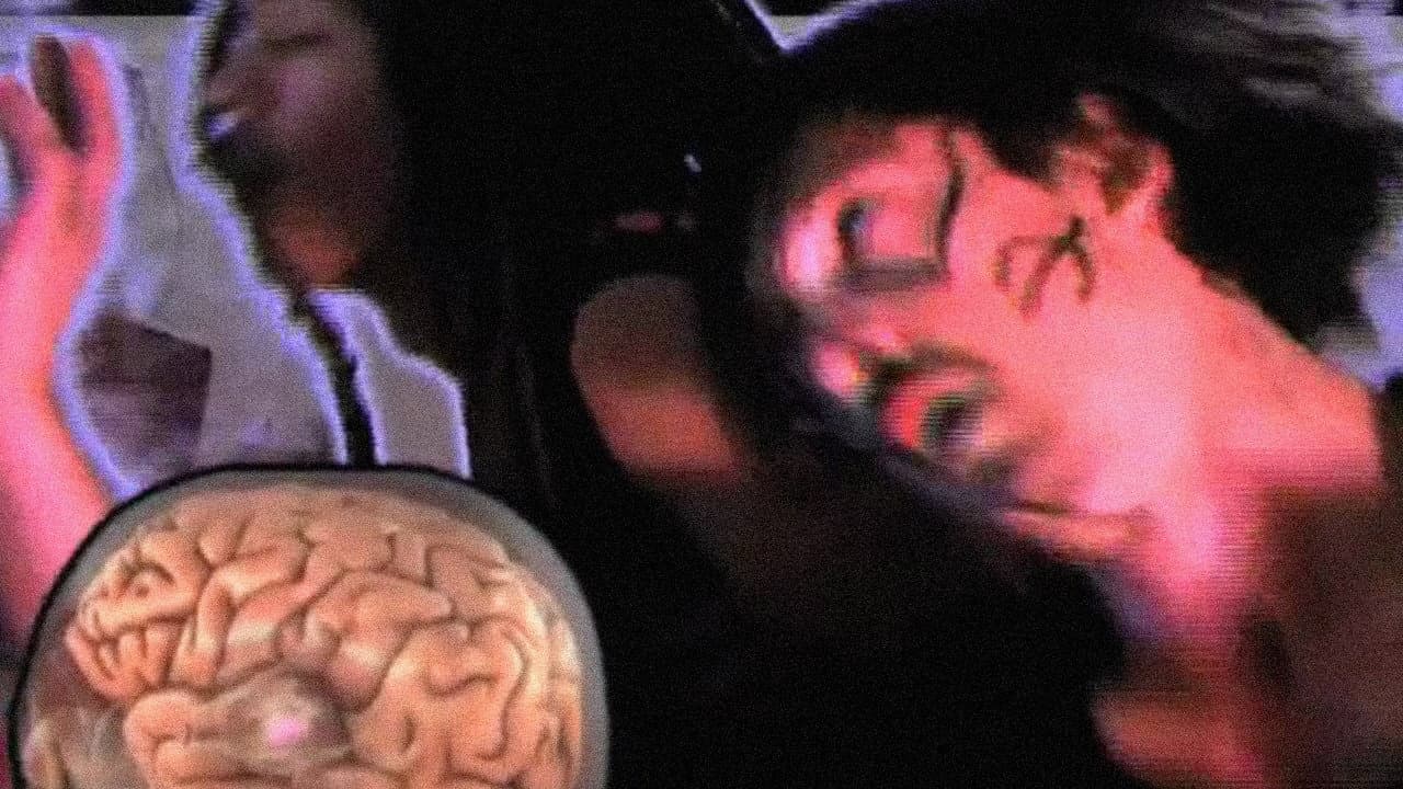 Write a Book About It