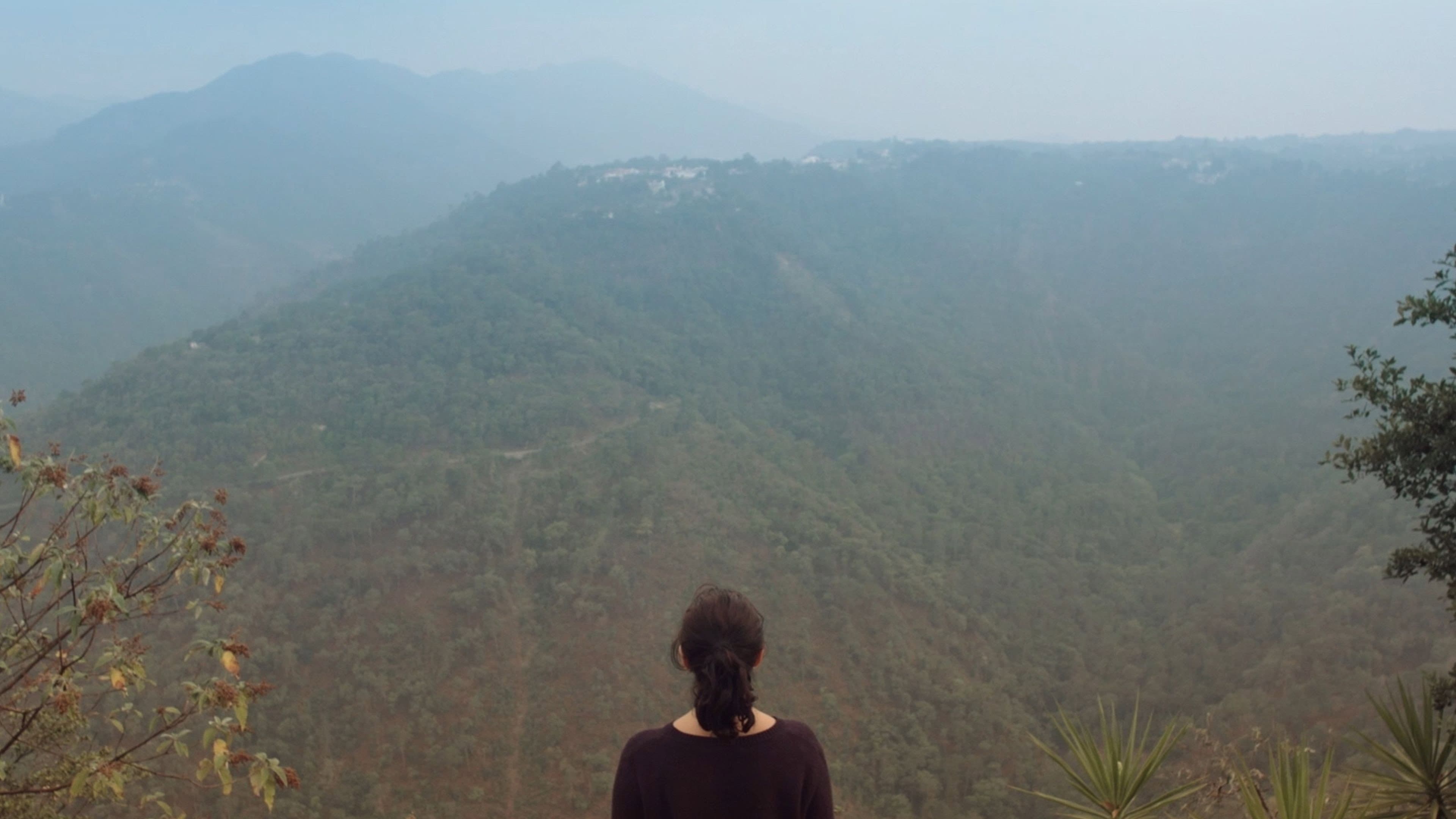 Nobody, Not Even the Mist