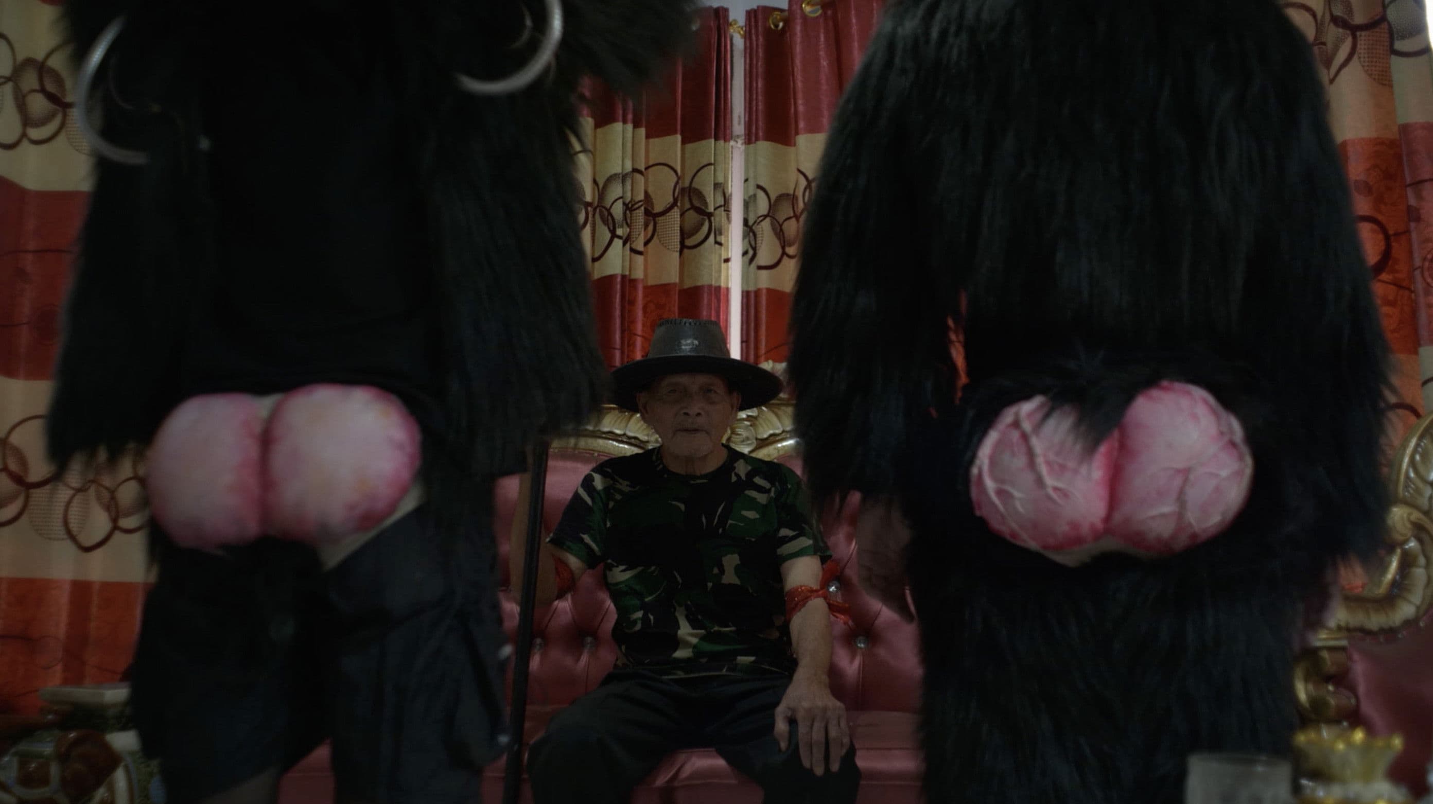 Primate Visions; Macaque Macabre