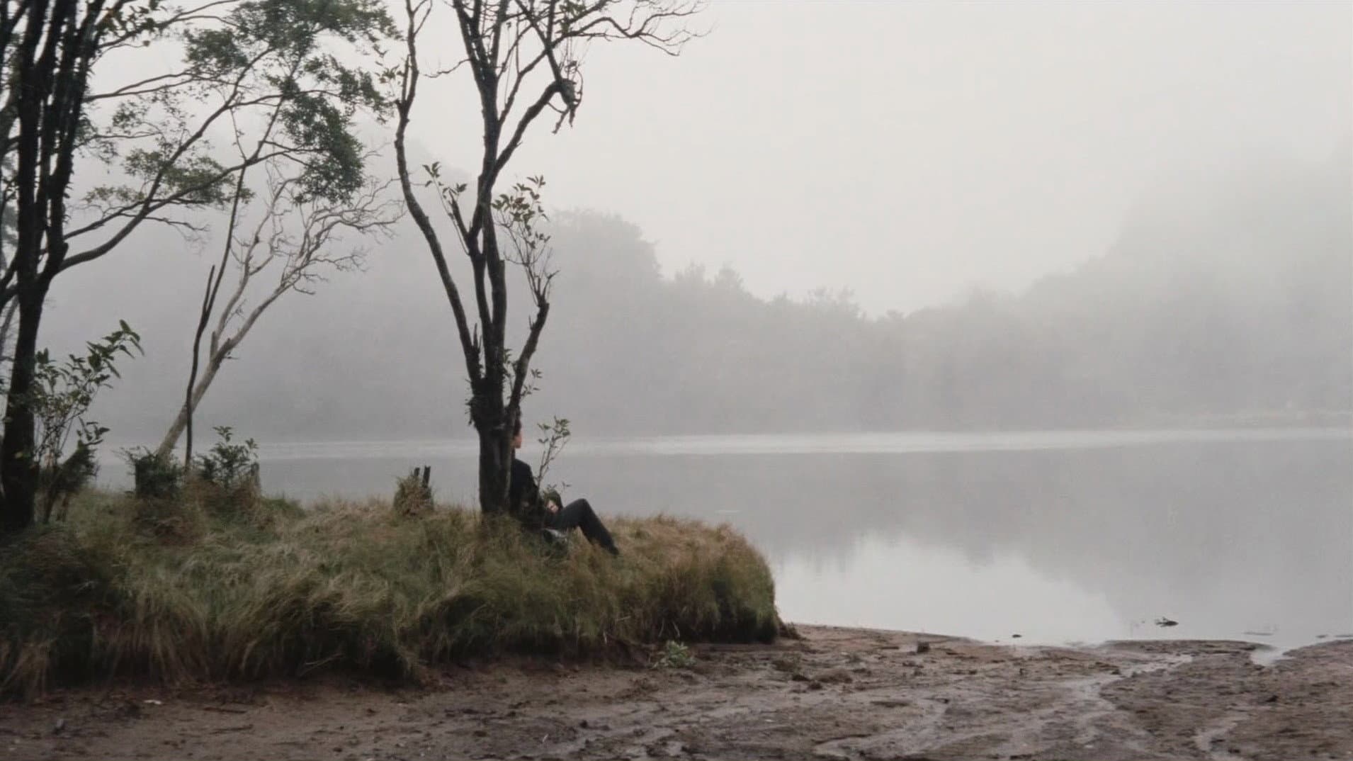 School Festival Night: A Sweet Experience