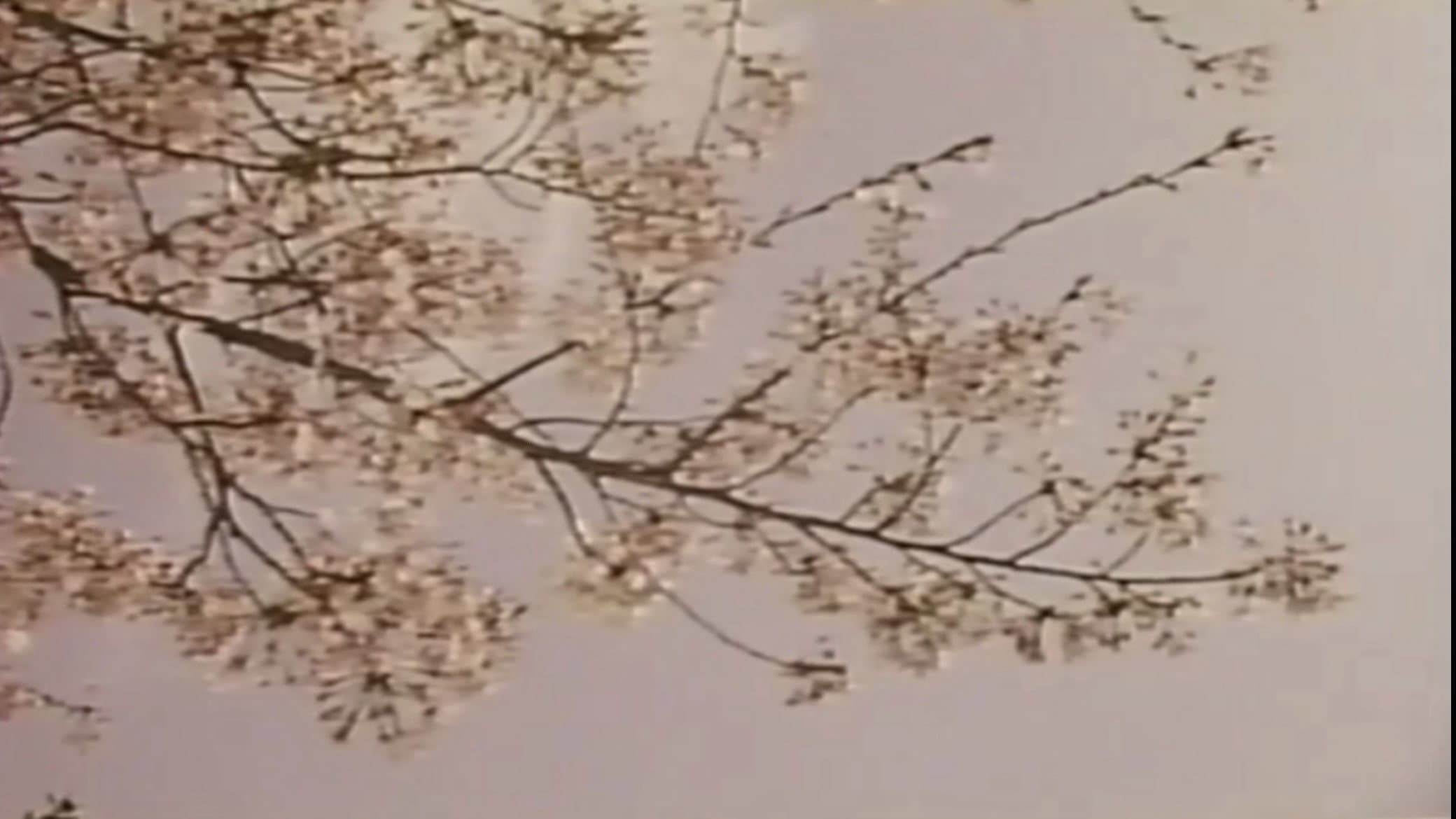 Wakaoku-sama: Futomono-biraki