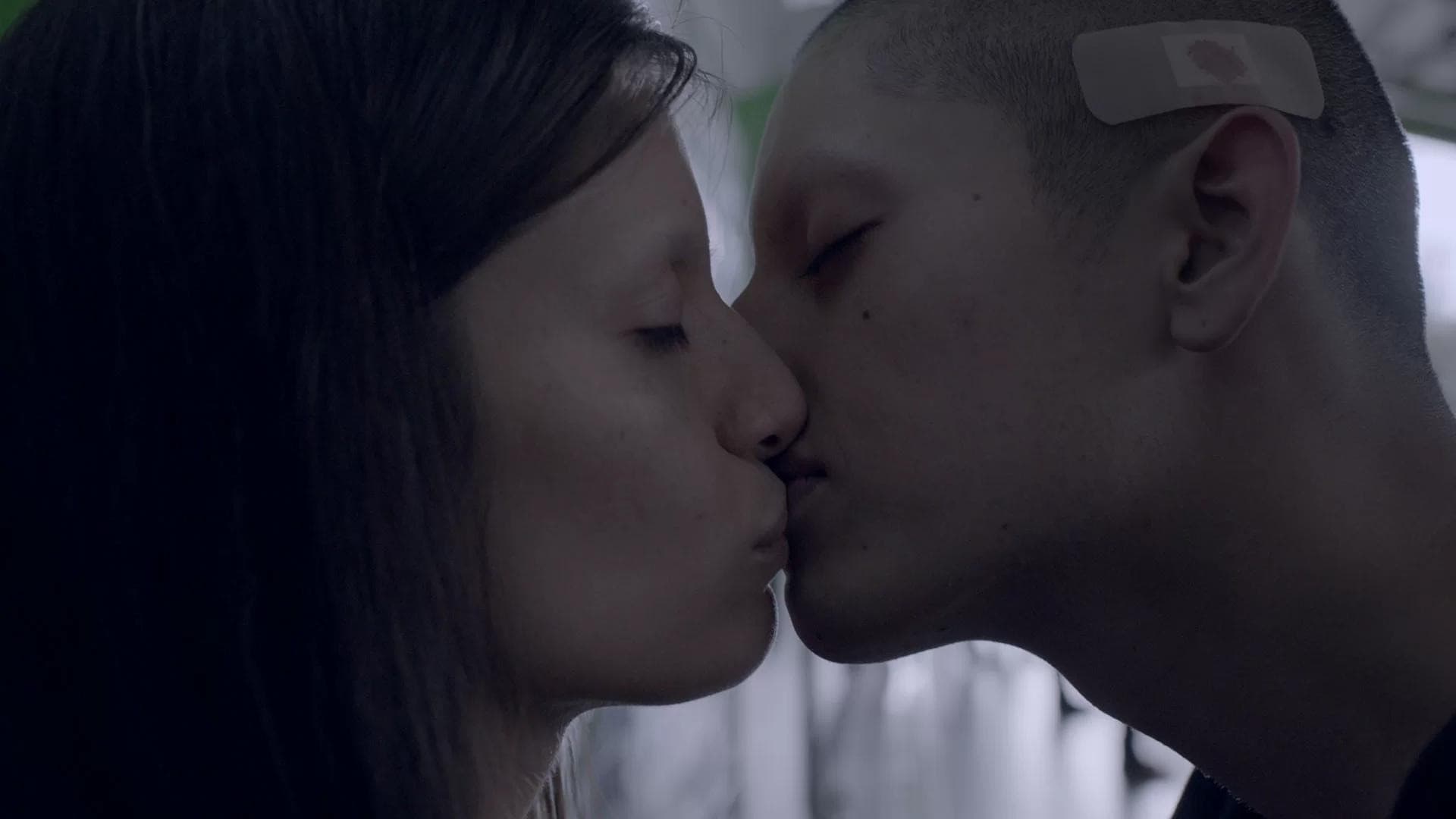 50 or Two Whales Meet at the Beach