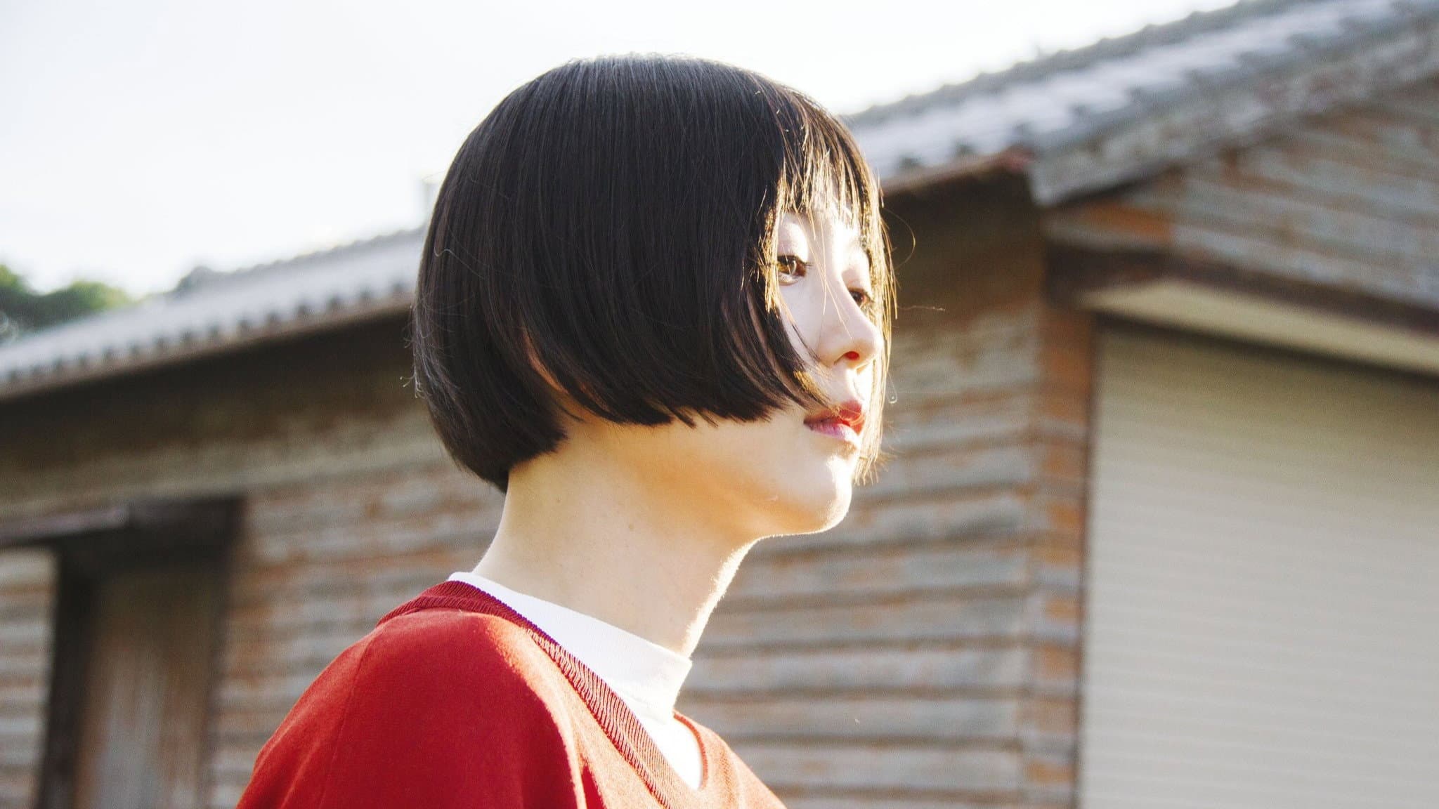 Drifting Flowers, Flowing Days