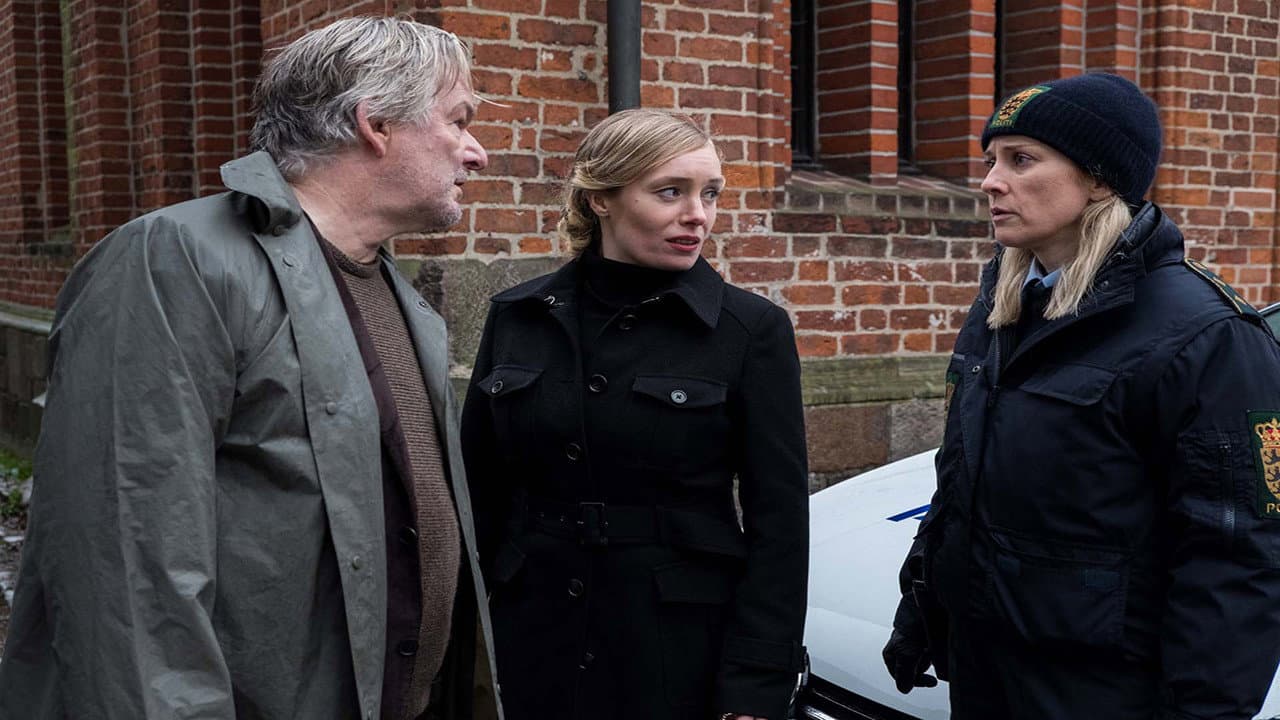 Der Dänemark-Krimi - Blutlinie