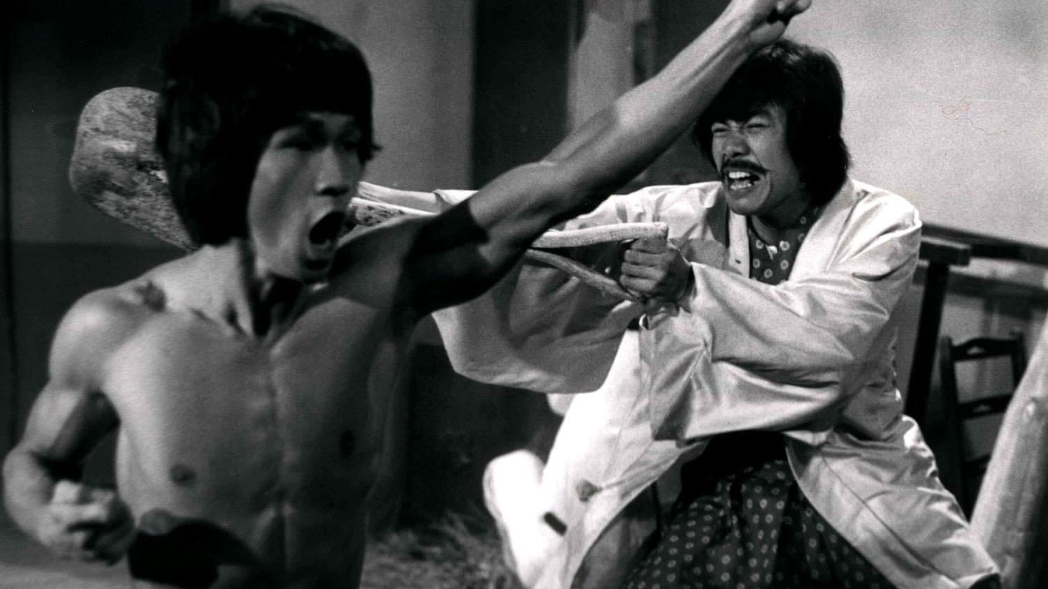 Bruce and the Dragon Fist