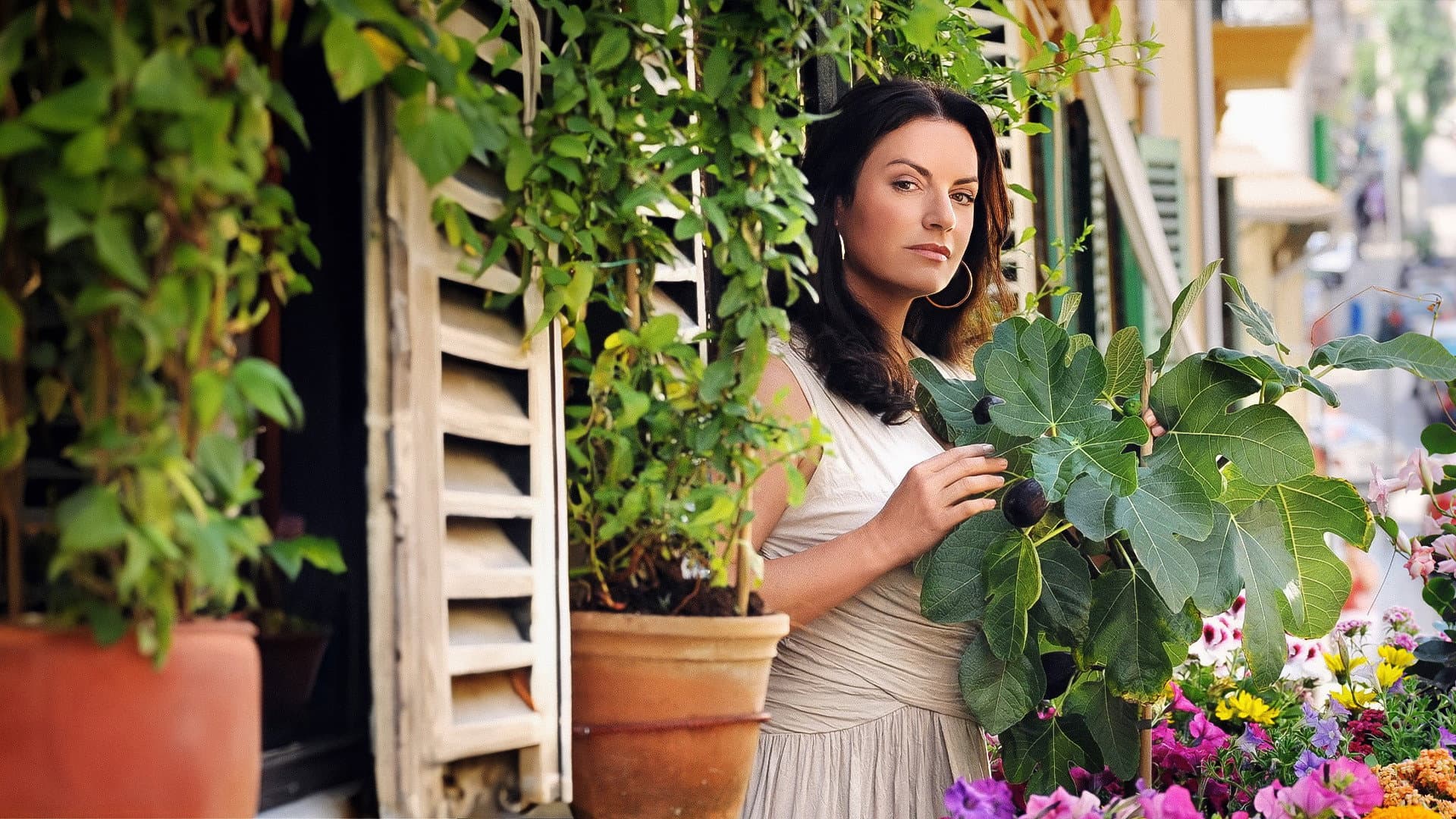 Bella und der Feigenbaum