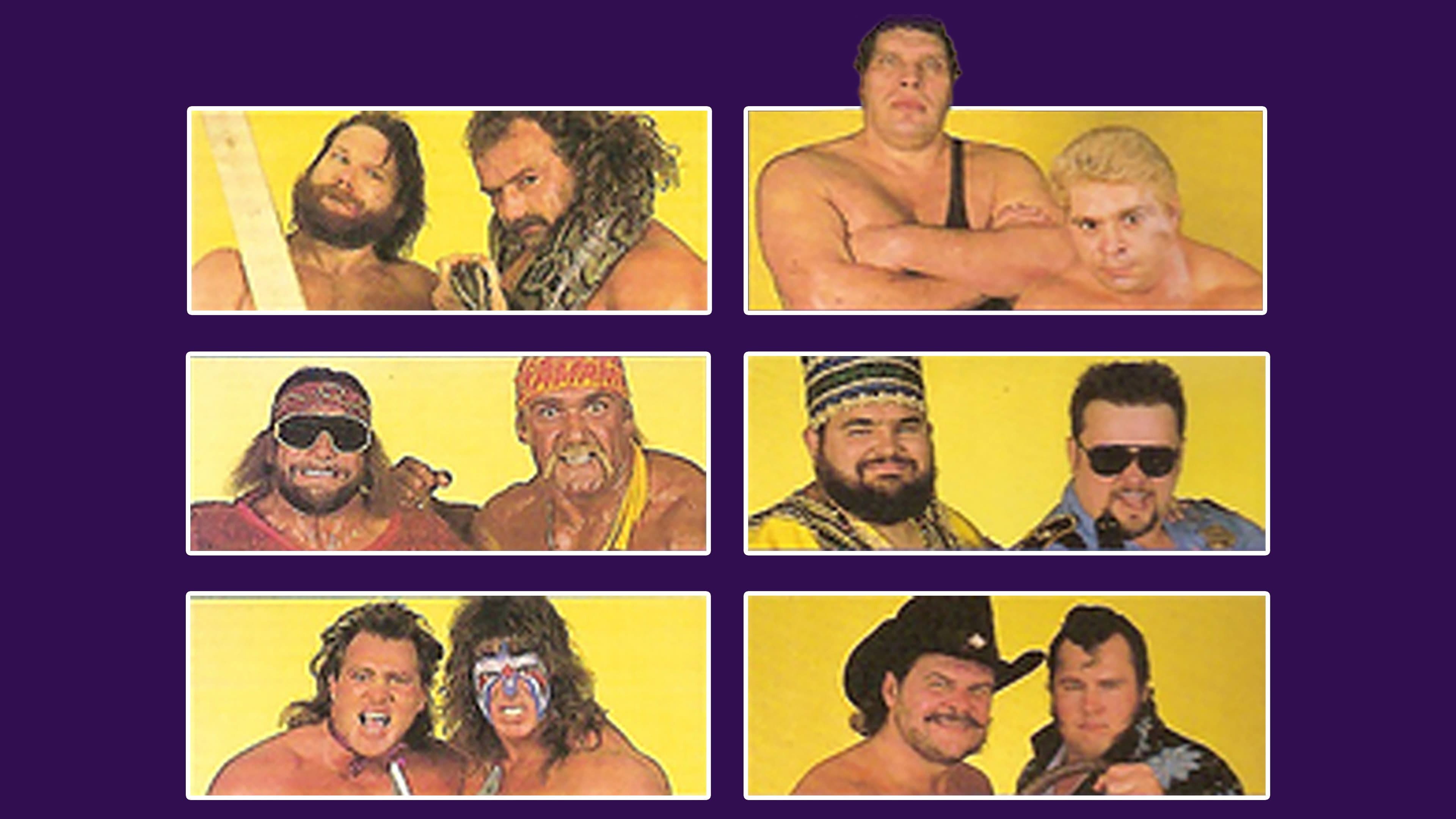 WWE Survivor Series 1988