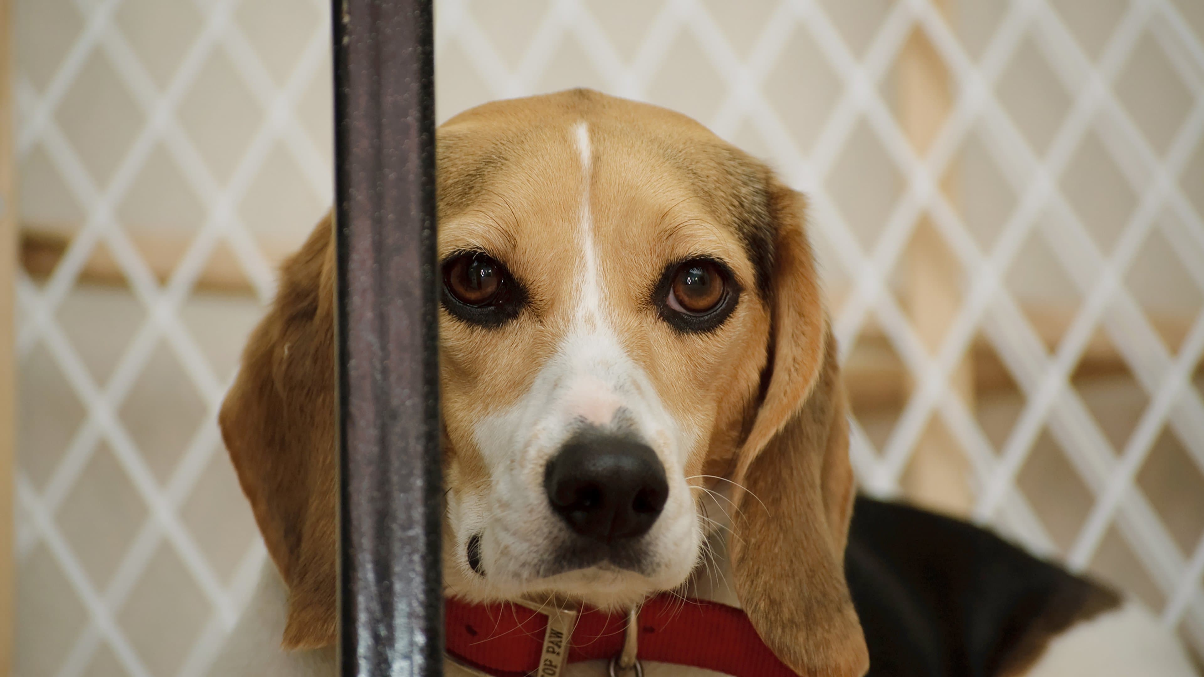 Undercover. Inside the Bunker