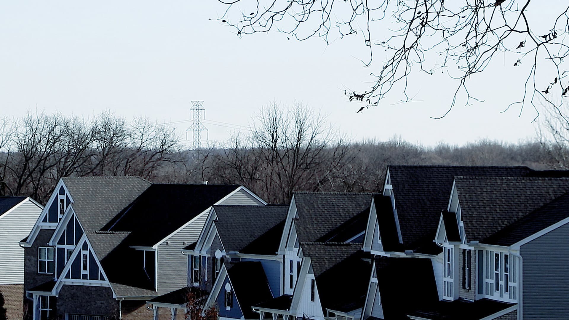 The Fields of Abbottsville