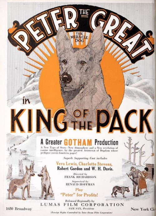 King of the Pack