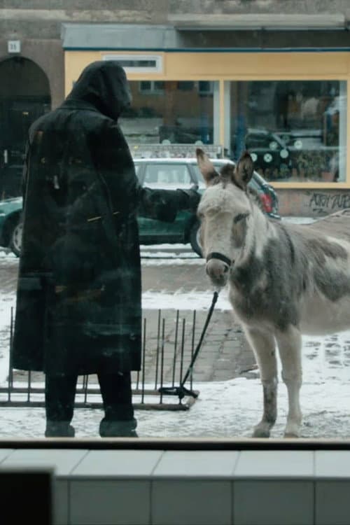 Looking Back Is Grace