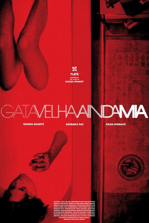 Never Too Old to Meow