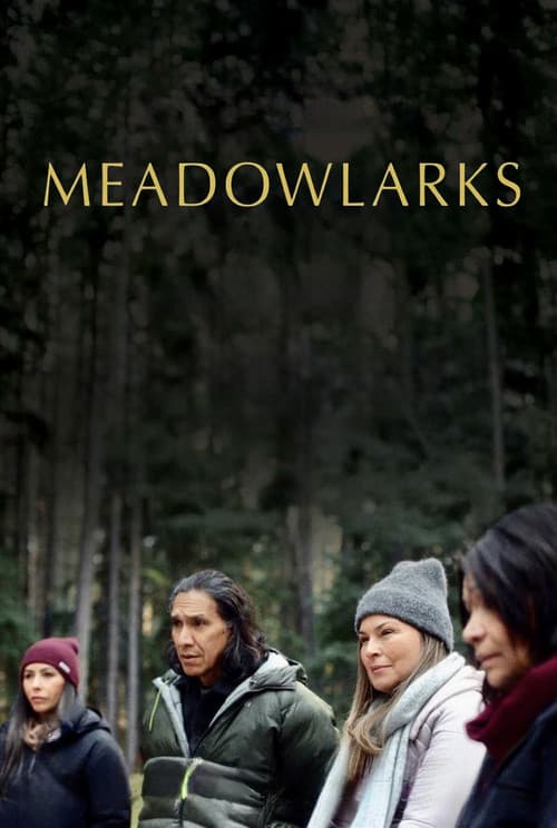 Meadowlarks