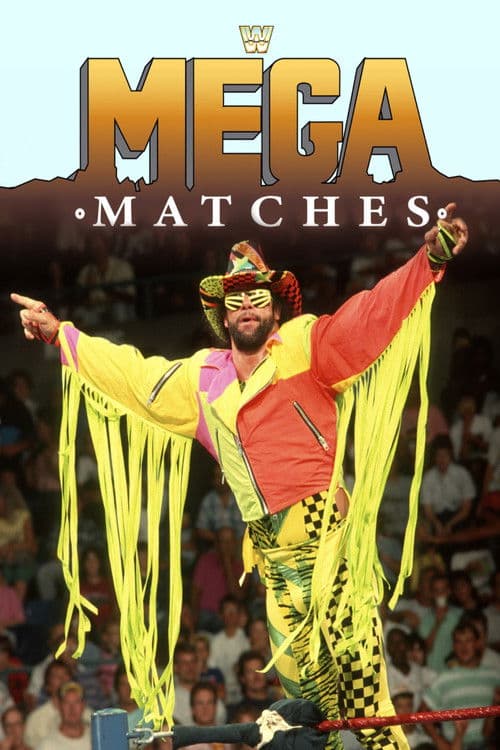 WWE Mega Matches