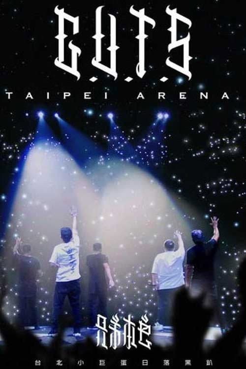 兄弟本色:台北小巨蛋日落黑趴演唱會