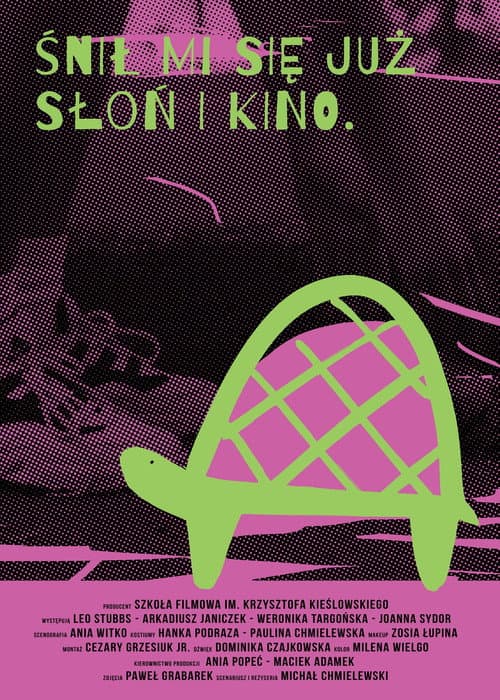 Ravik the Steppe Turtle