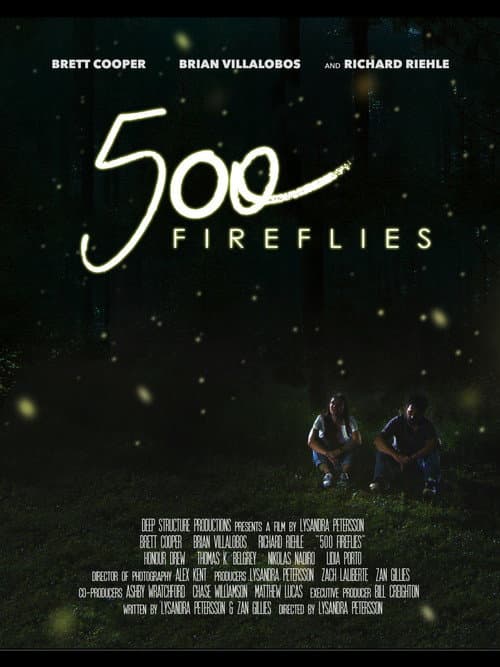 500 Fireflies