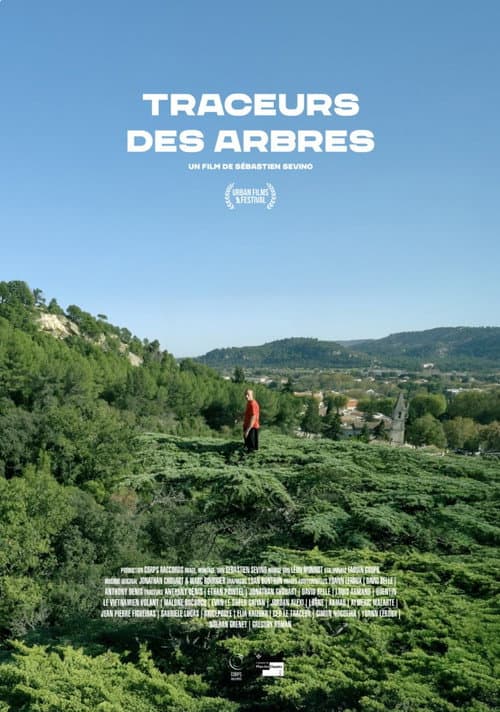 Traceurs des arbres