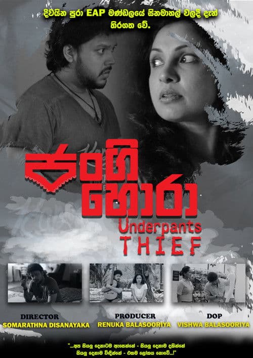 The Underpants Thief