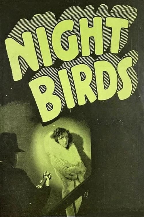 Night Birds