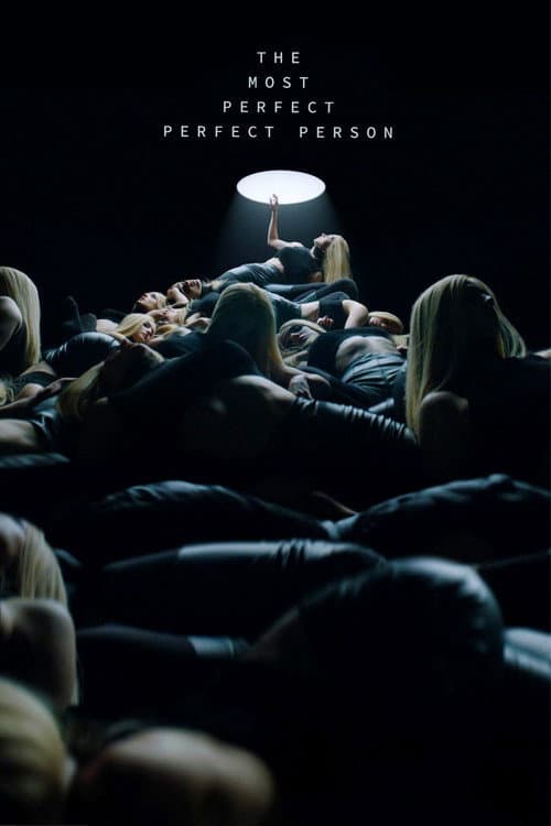 The Most Perfect Perfect Person