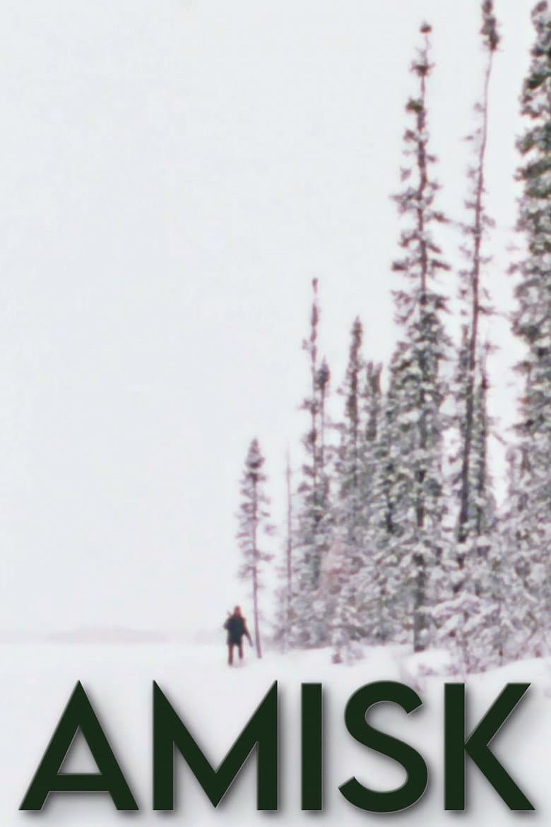 Amisk