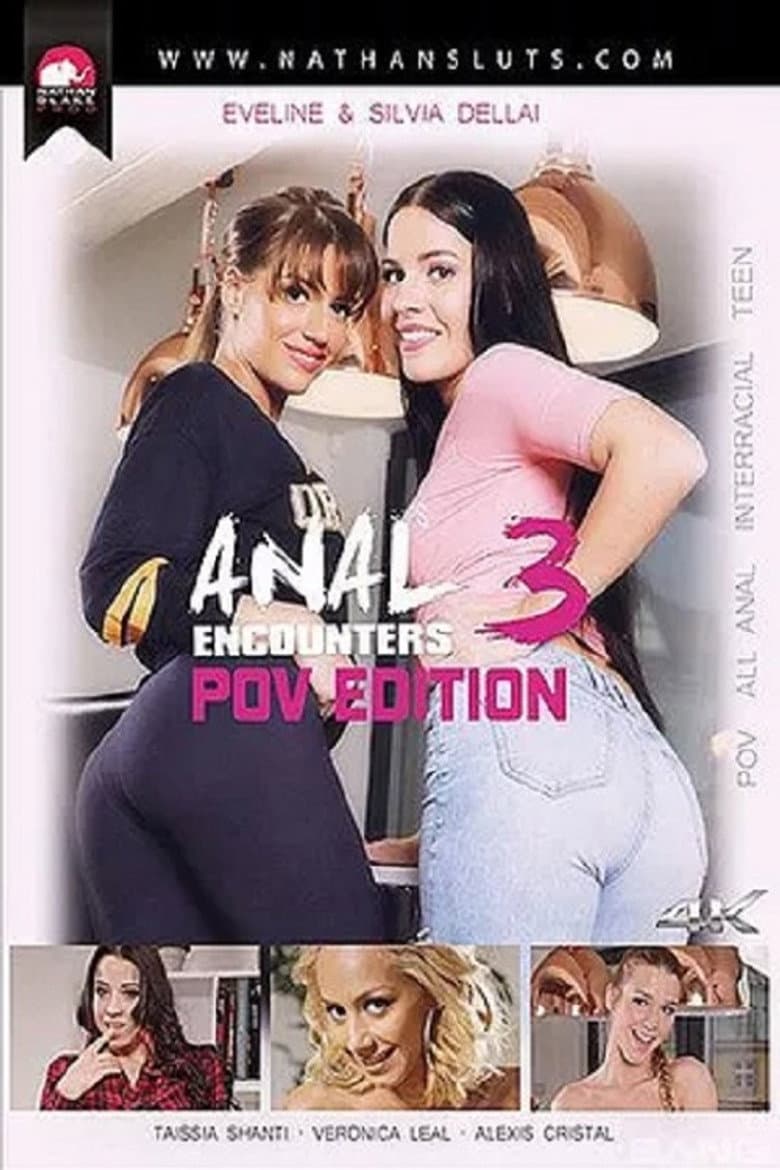 Anal Encounters 3: POV Edition