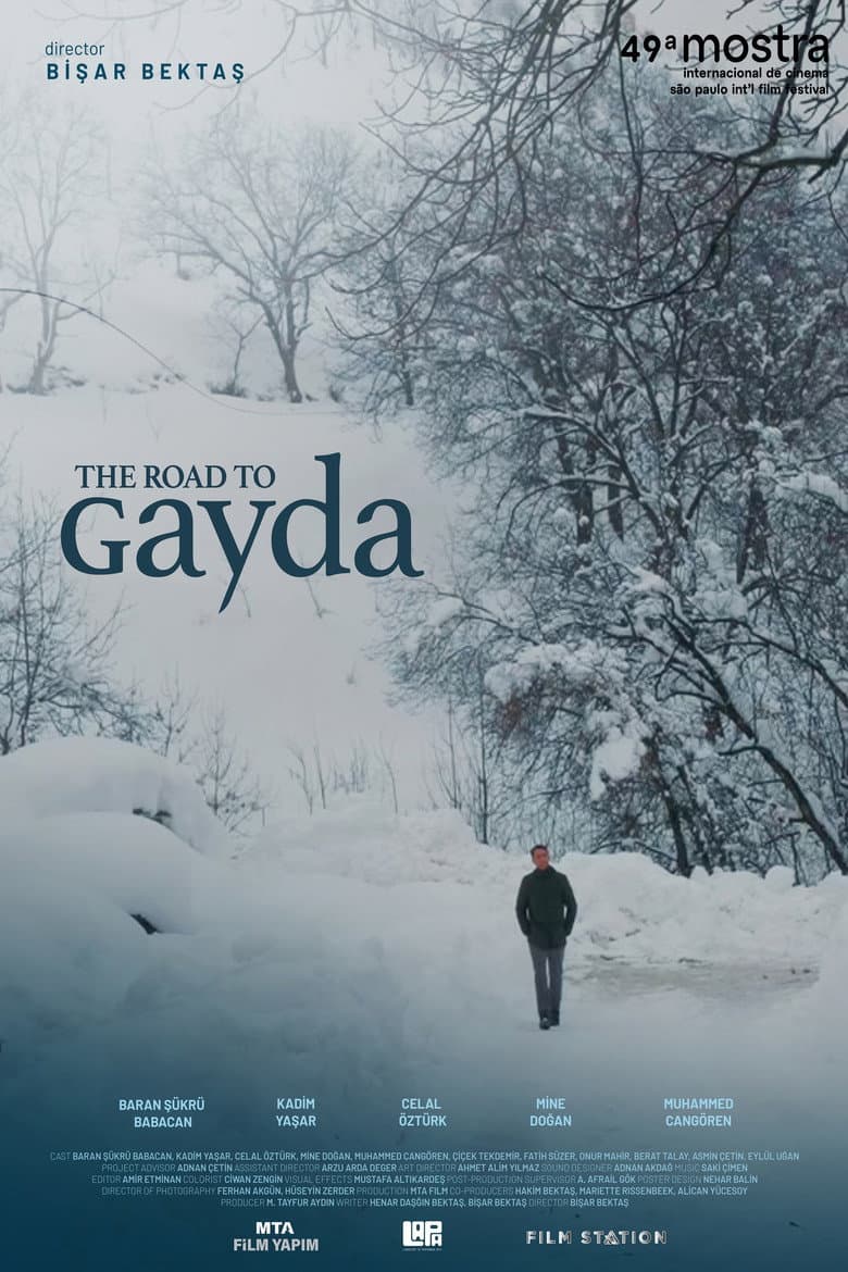 The Road to Gayda