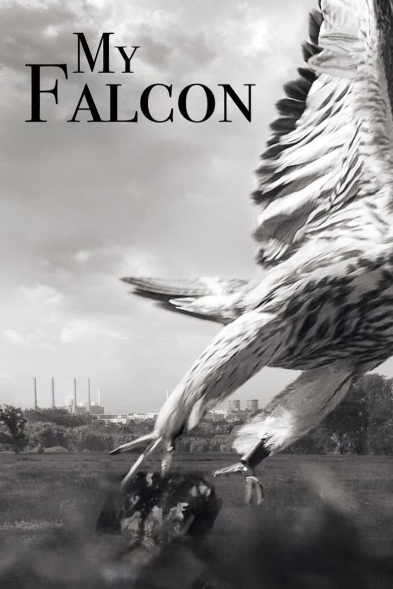 My Falcon