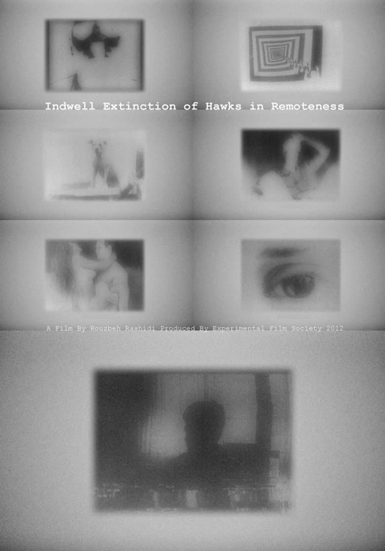 Indwell Extinction of Hawks in Remoteness