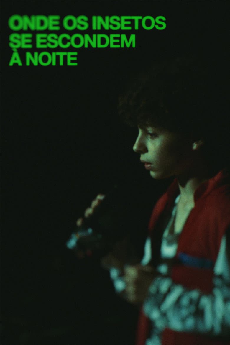 Where Insects Hide at Night